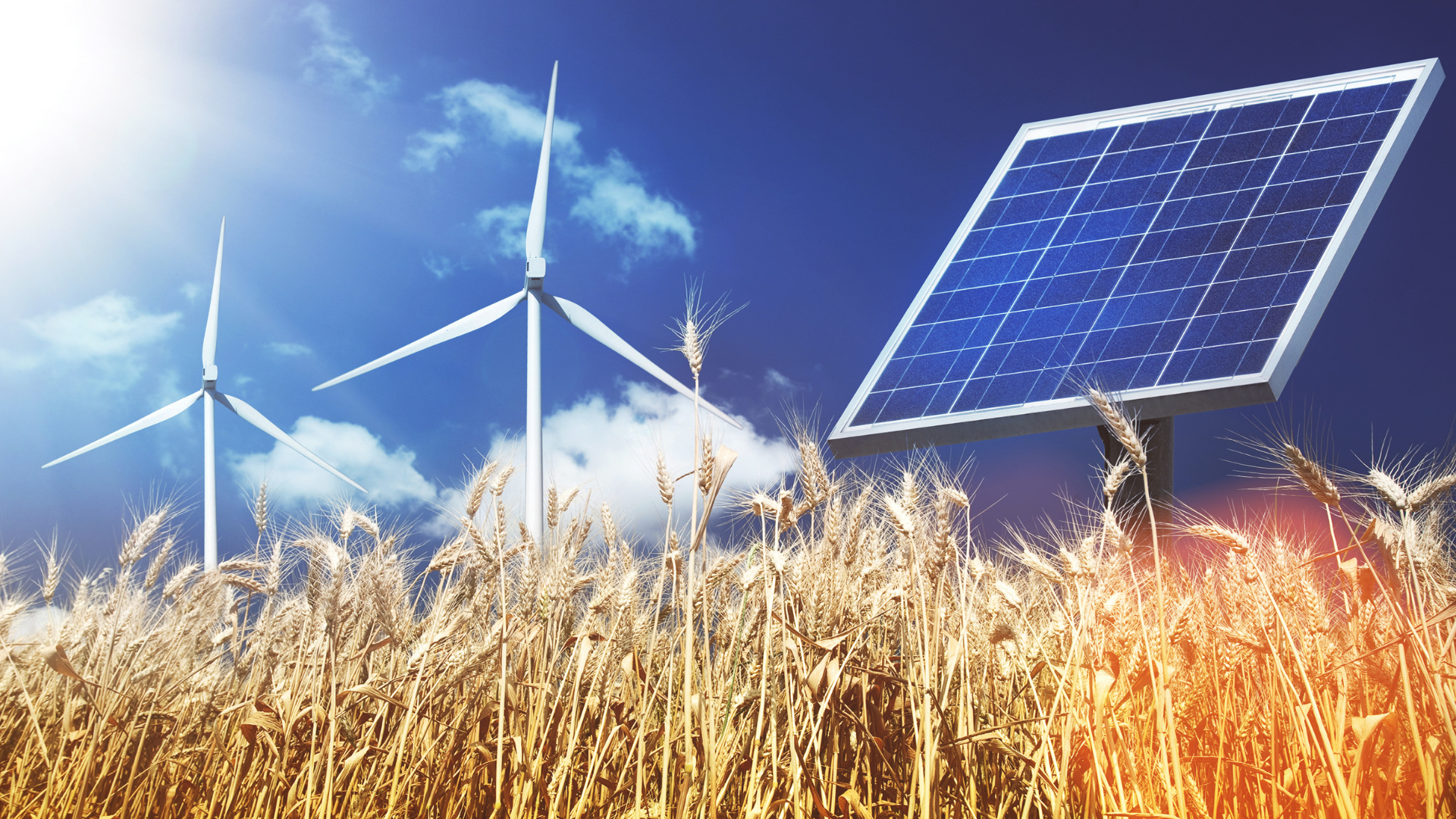5 Global Power and Renewable Energy Trends to Watch out for in 2022